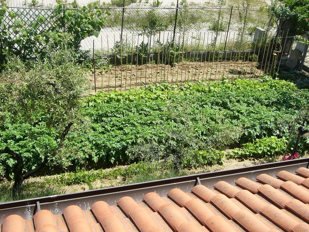 Nonna Alda Bed and Breakfast Viareggio Værelse billede