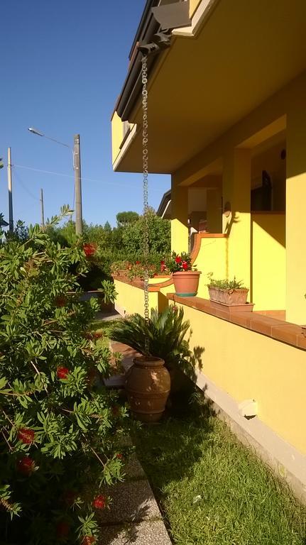Nonna Alda Bed and Breakfast Viareggio Eksteriør billede