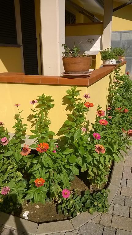 Nonna Alda Bed and Breakfast Viareggio Eksteriør billede