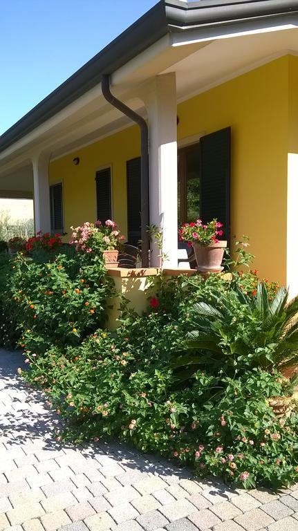 Nonna Alda Bed and Breakfast Viareggio Eksteriør billede