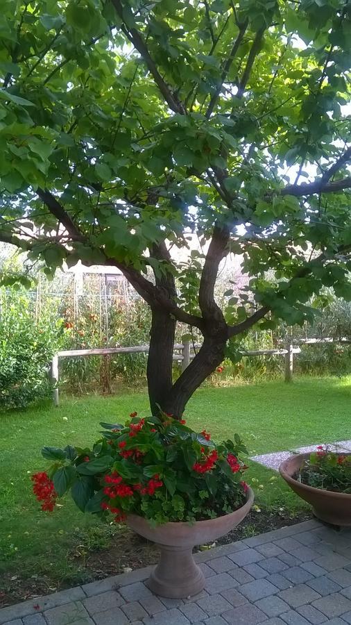 Nonna Alda Bed and Breakfast Viareggio Værelse billede
